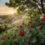 Цветочное богатство Волжского: Исследуем Разнообразие и Красоту Флоры Региона